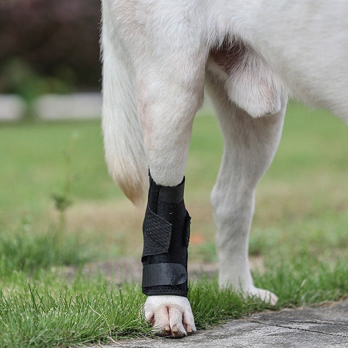 Uppgraderat Hundstöd