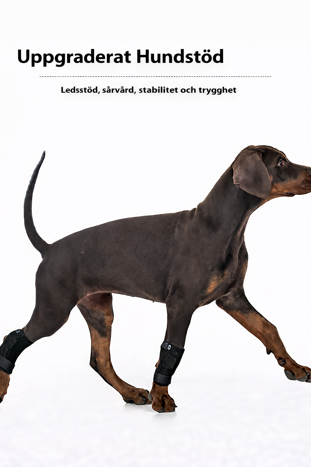 Uppgraderat Hundstöd