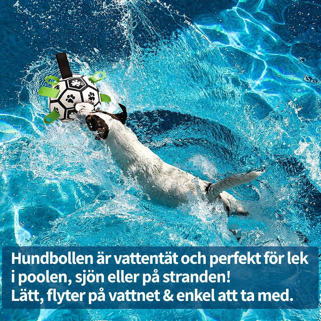 Interaktiv hundboll