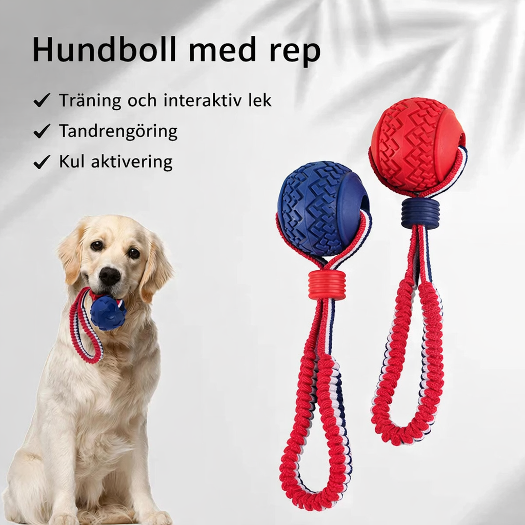 Motivationsboll med rep för träning & belöning