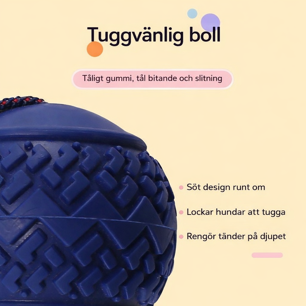 Motivationsboll med rep för träning & belöning