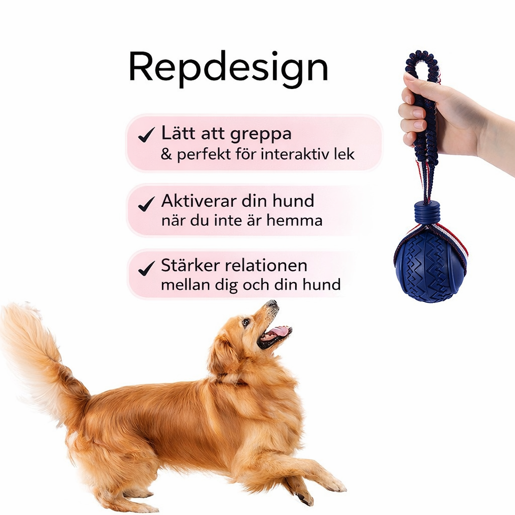 Motivationsboll med rep för träning & belöning