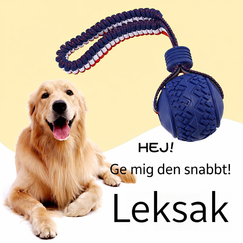 Motivationsboll med rep för träning & belöning