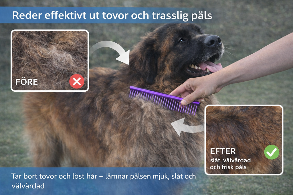 Medium kam för hund & katt – Rostfritt stål i färgad design