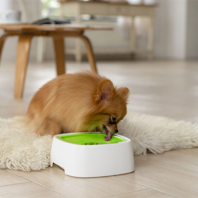 Halkfri flytande anti-spill vattenskål för hund