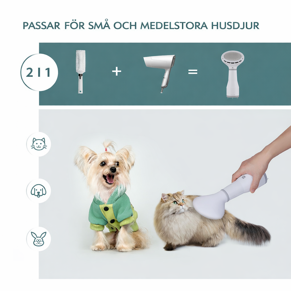 Dadypet hundhårtork & groomingborste – torkar och borstar pälsen samtidigt