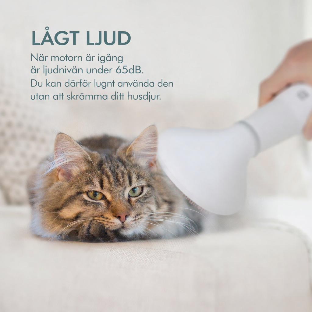 Dadypet hundhårtork & groomingborste – torkar och borstar pälsen samtidigt