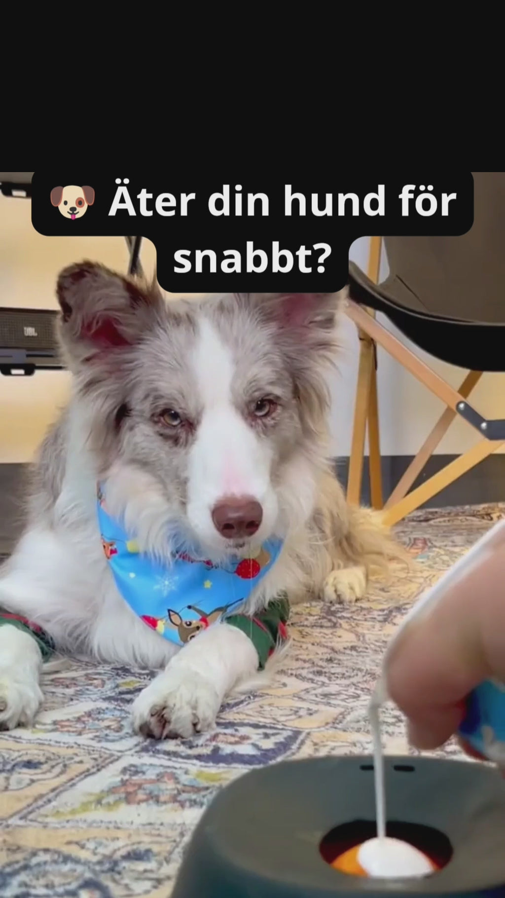 Slow Feeder Slickskål för Hund