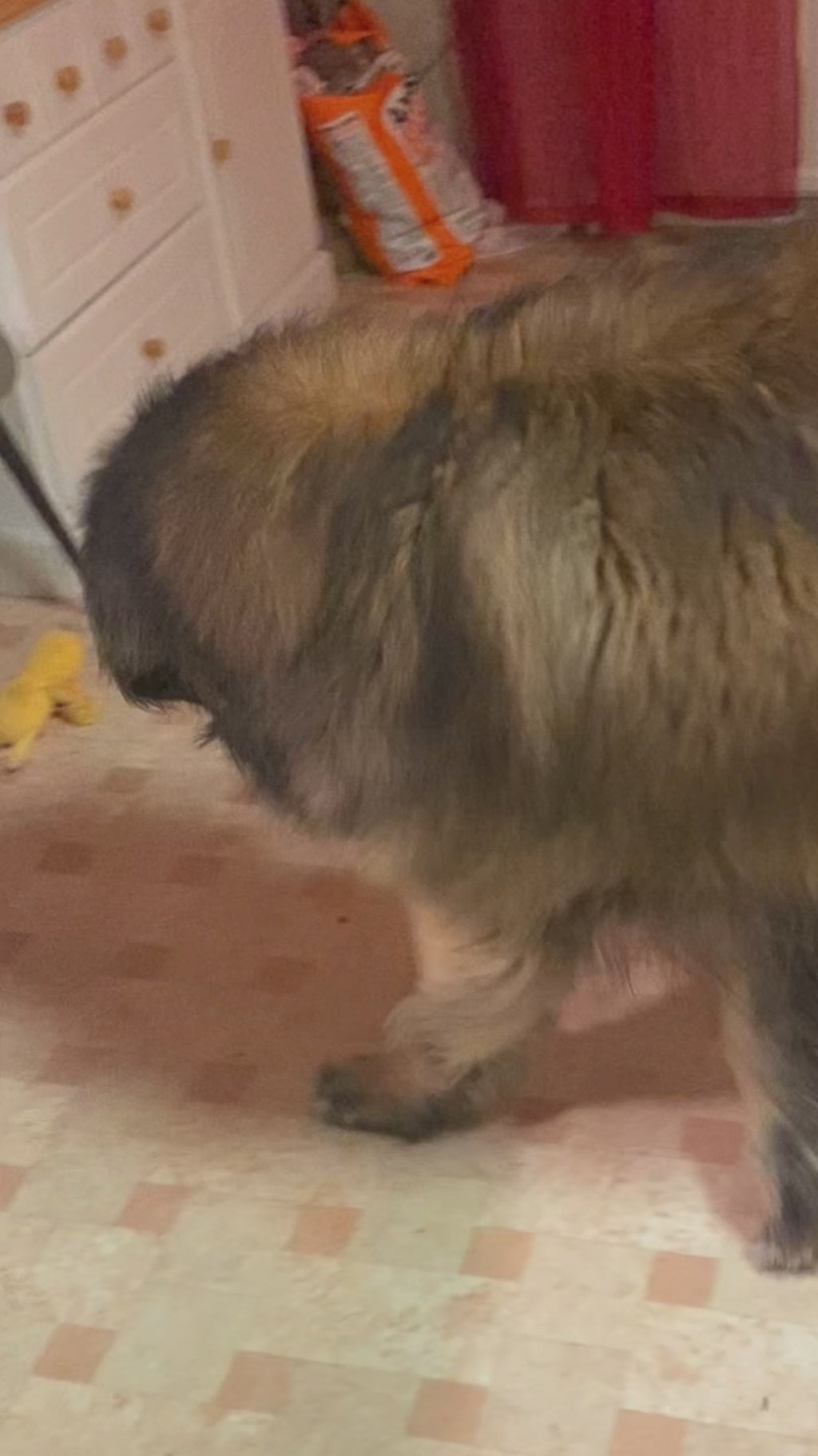 Söt Hundleksak i Plysch
