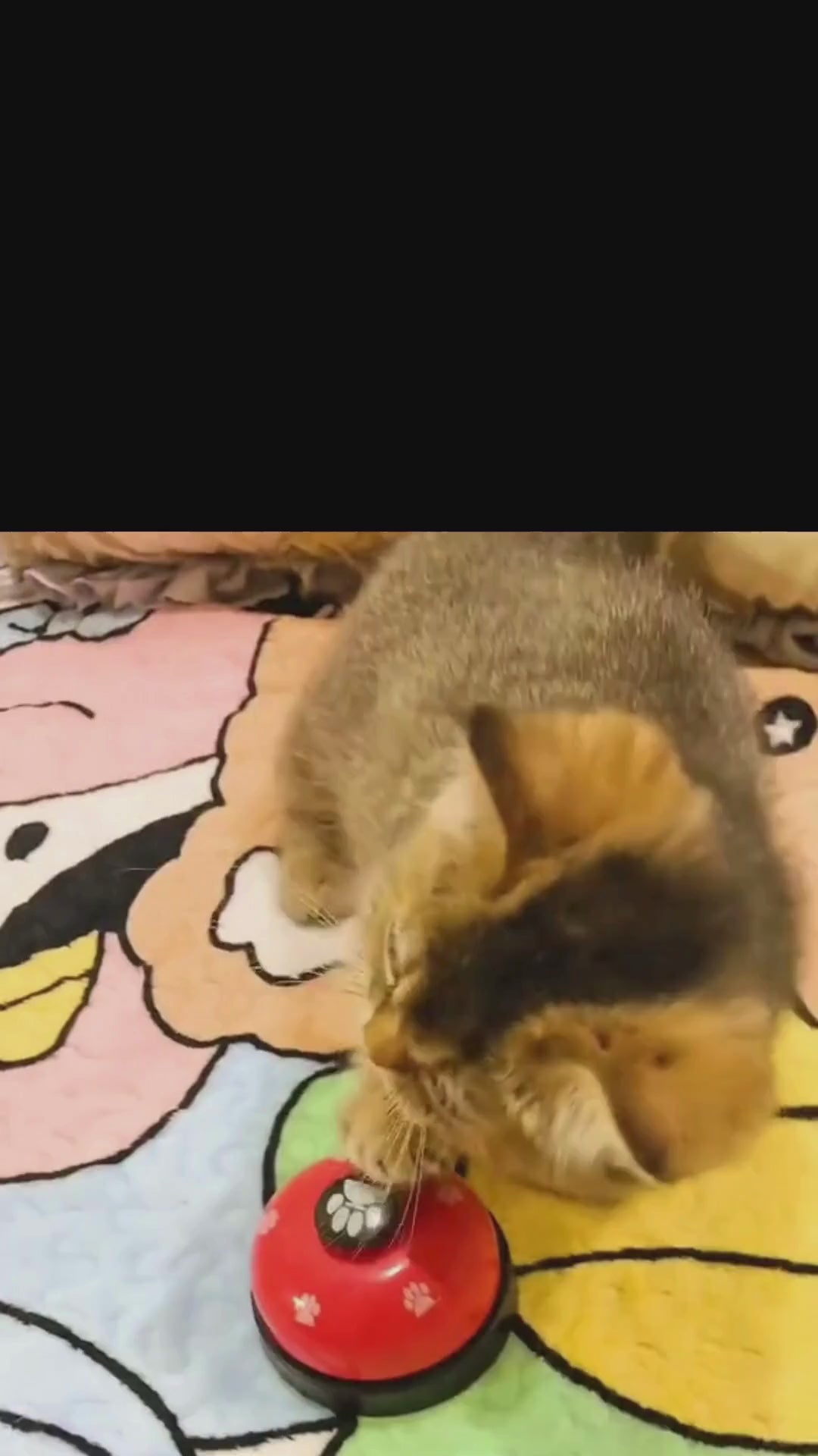 Ringklocka för Hund & Katt