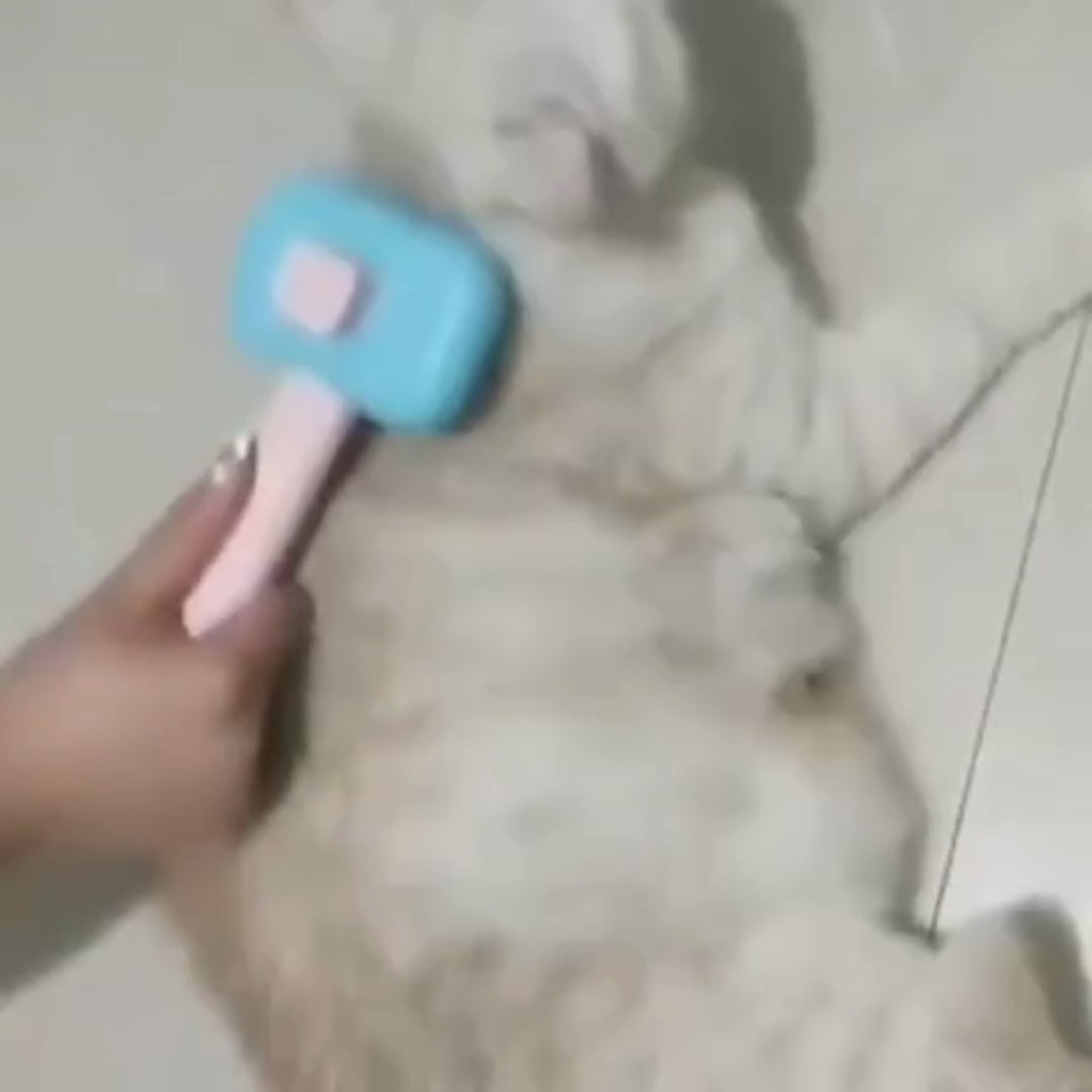 Ny premium husdjursborste för katt & hund – massageborste, tovutredare och rengöringskam i rostfritt stål