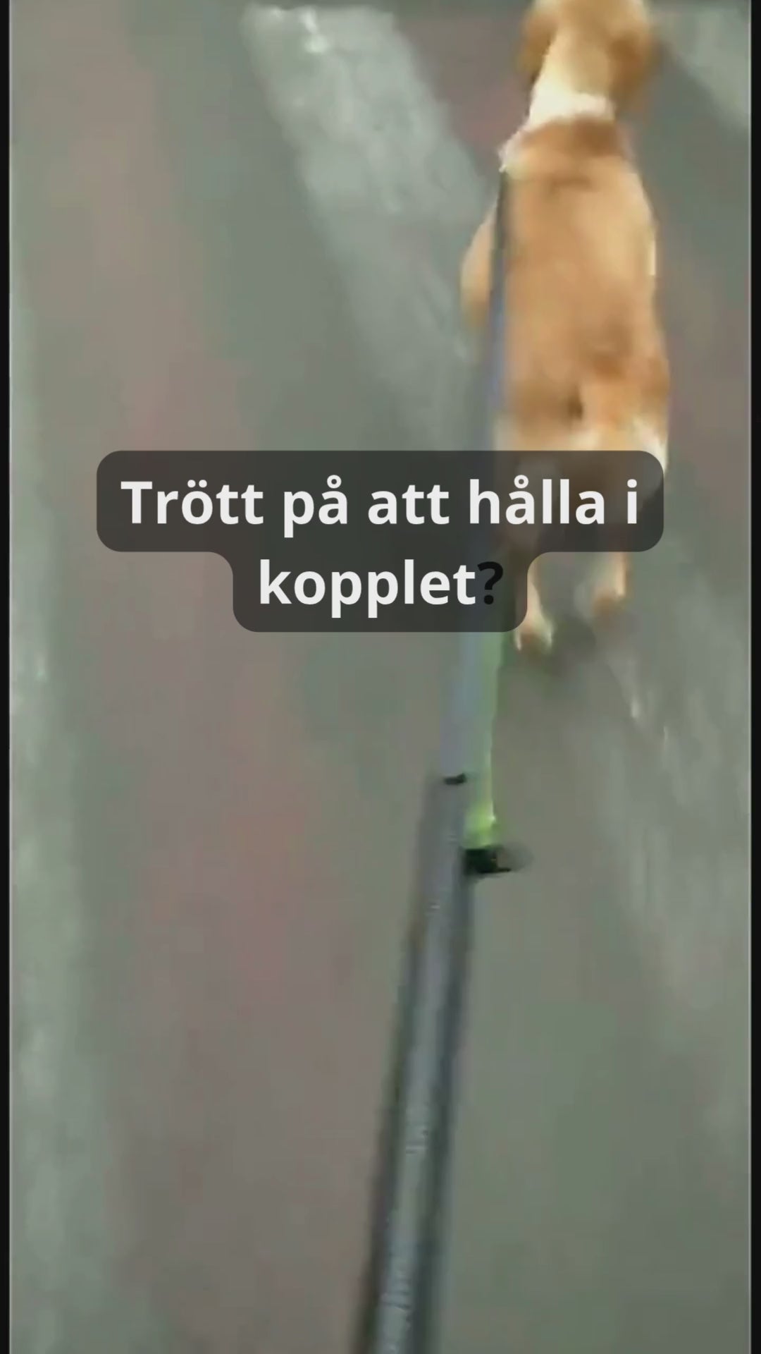 Handsfree Hundkoppel med Midjeväska