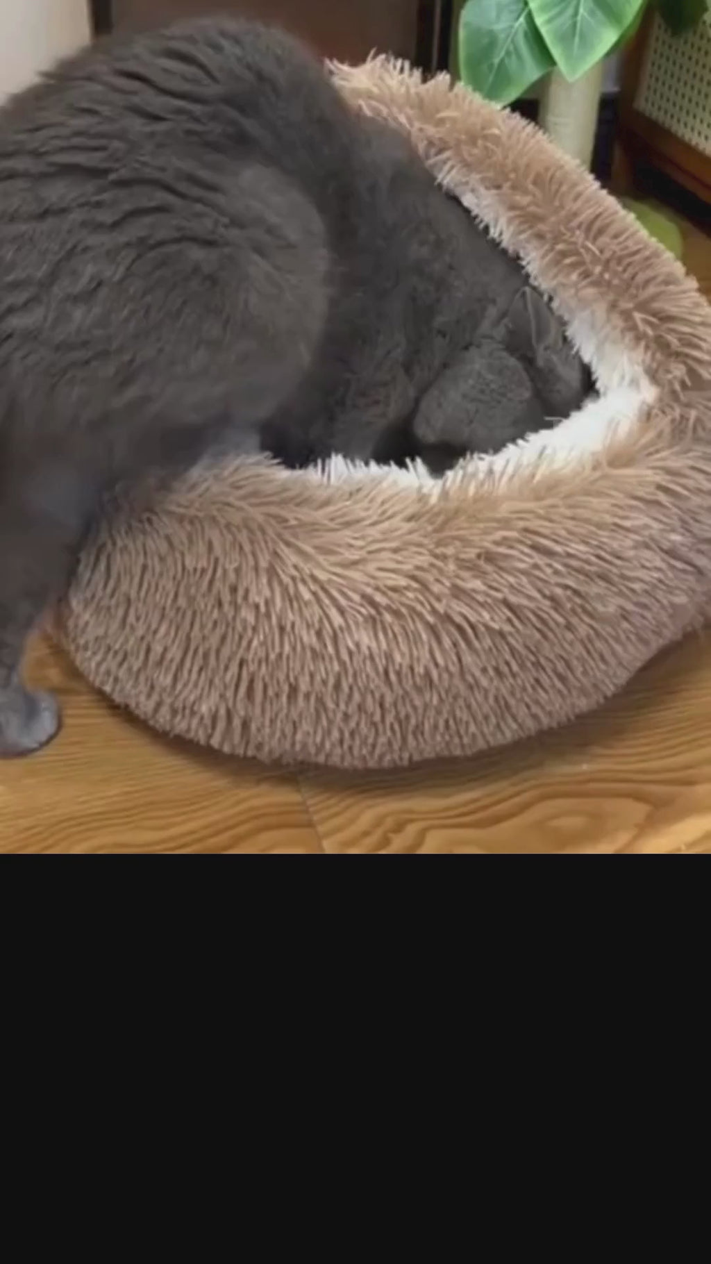 Mysig Katt- & Hundbädd