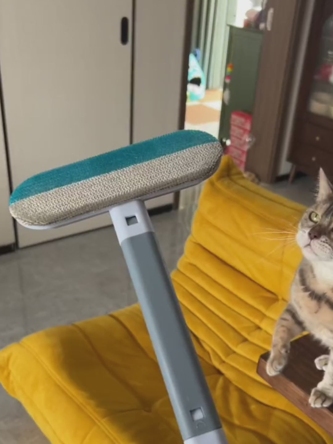 4-i-1 Multifunktionell Hår- & Pälsborttagningsborste