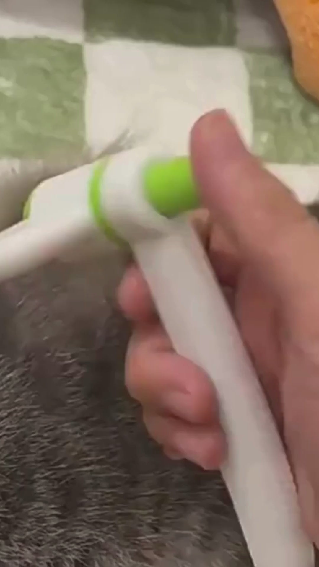 Lyxig Självrengörande Groomingkam för Husdjur – Tar bort tovor, löst hår på sekunder